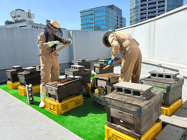 同社の養蜂場／出典：コロンバン